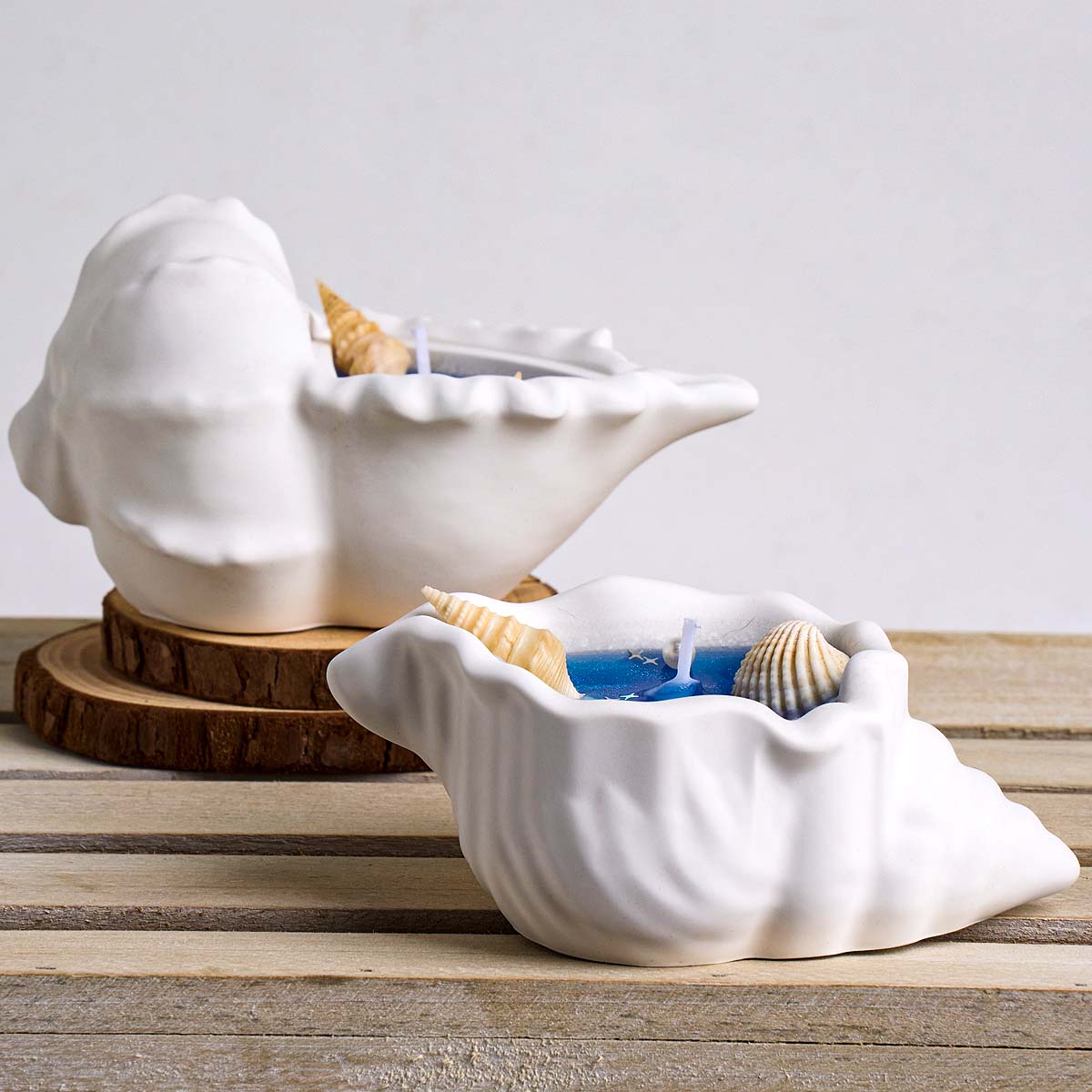 Cetakan Silikon Pot Bunga Conc - Idli Steamer Mold ulasan dan harga